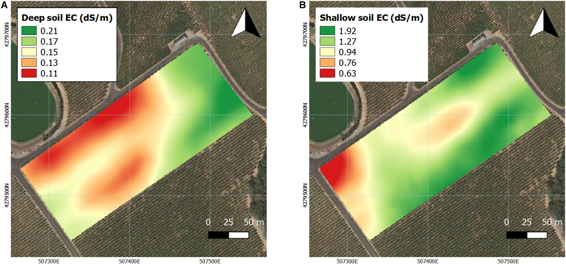 Frontiers | Spatial Variability of Soil and Plant Water Status and Their  Cascading Effects on Grapevine Physiology Are Linked to Berry and Wine  Chemistry