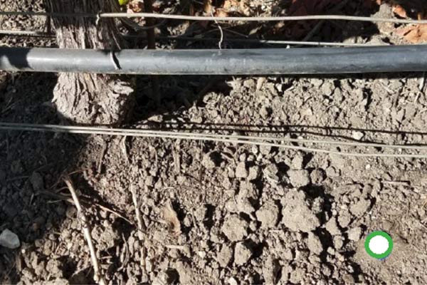 Example Soil Moisture Probe Placement for Row Irrigation